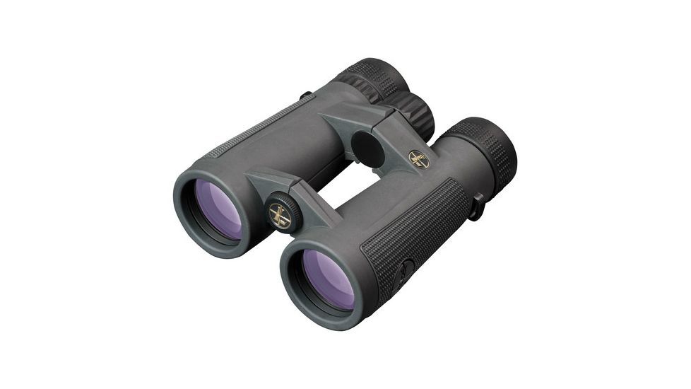 Leupold BX-5 Santiam HD 10x42mm Binoculars